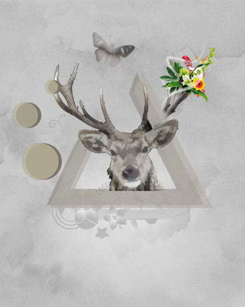 Chasse chevreuille