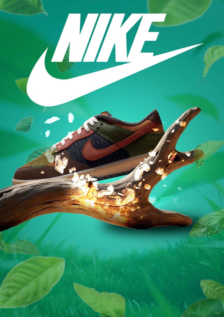 Chaussure nike